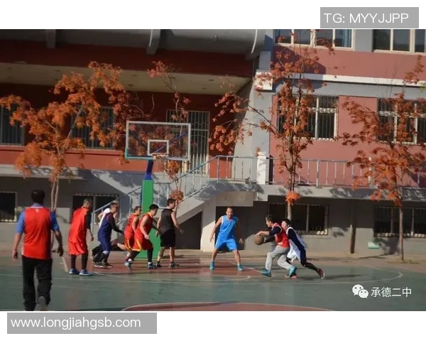 广州排球队的阵地战策略分析与未来发展展望